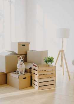 residential island moving moving movers foreman