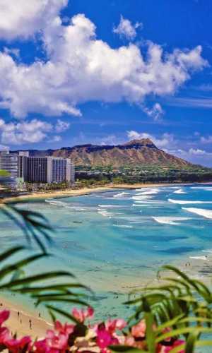 Home Moving Big Kahuna Movers residential island moving moving movers foreman