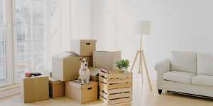 HowToOrganizeAStorageUnitLikeAPro Big Kahuna Movers residential island moving moving movers foreman