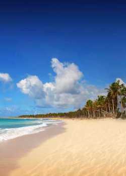 residential island moving moving movers foreman
